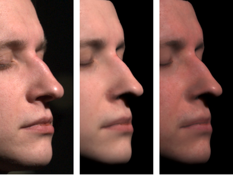 [Acquisition of Human Faces Using A Measurement-Based Skin Reflectance Model]
