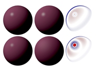 [Image-based Remapping of Material Appearance]