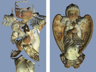 [A Practical Structured Light Acquisition System for Point-Based Geometry and Texture]